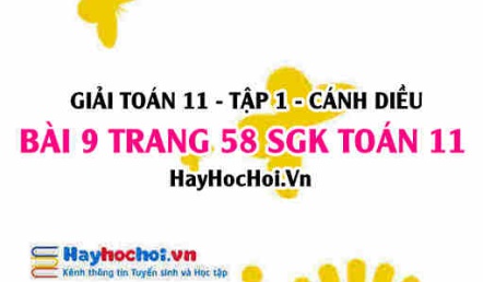 Giải bài 9 trang 58 Toán 11 tập 1 SGK Cánh Diều